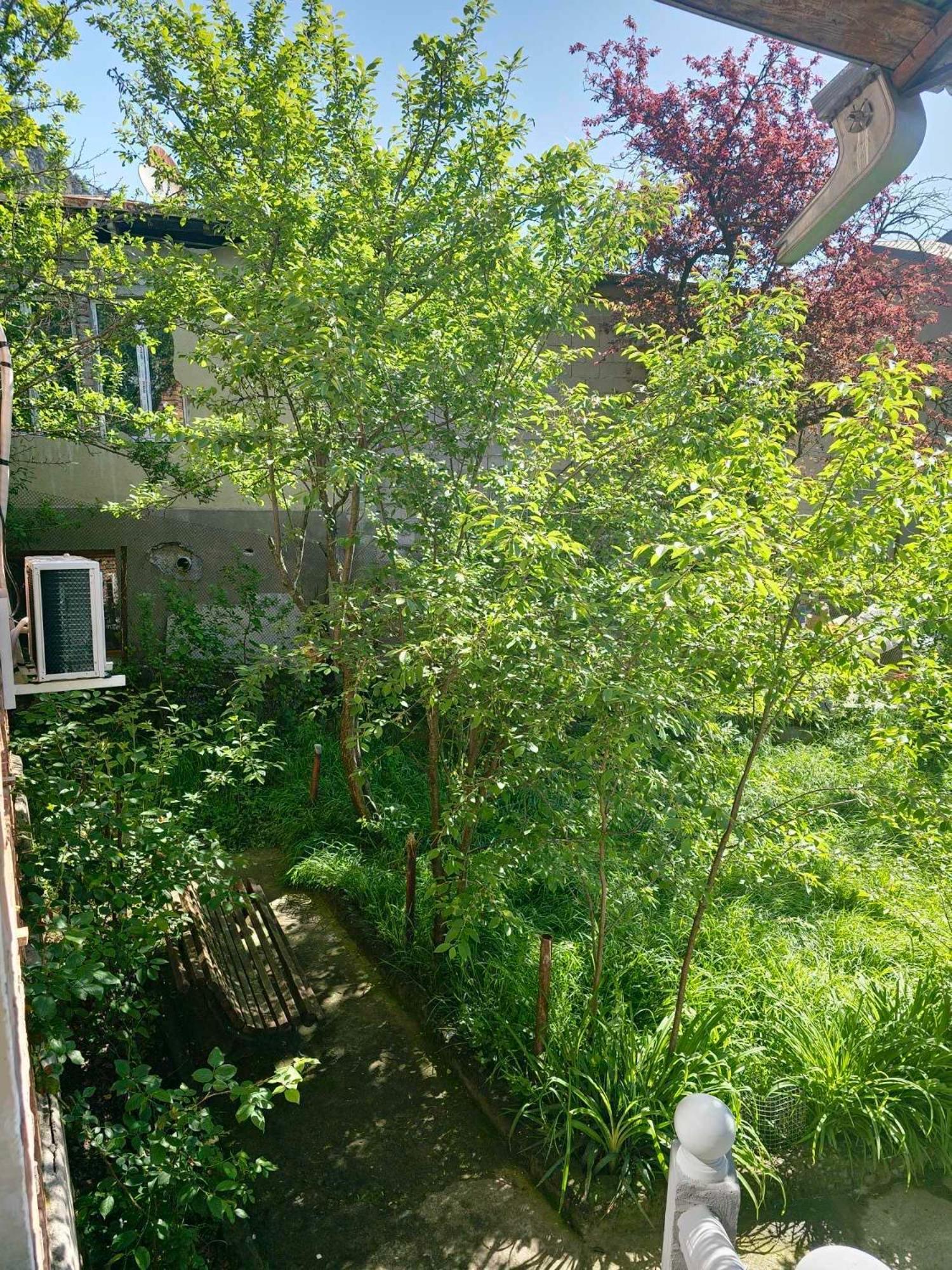 Shota'S Guest House Боржоми Екстериор снимка